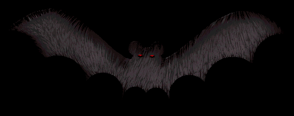 shadowy bat