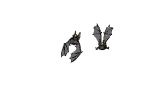 bats flying toward you