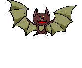 cute bat
